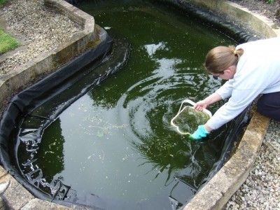 Почистване на градински езера
