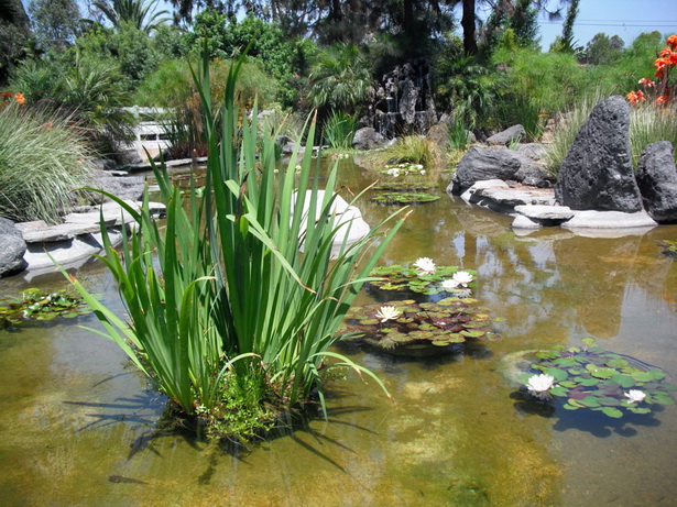 cleaning-garden-ponds-04_15 Почистване на градински езера