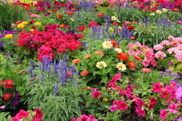 colorful-flower-beds-78_5 Цветни лехи