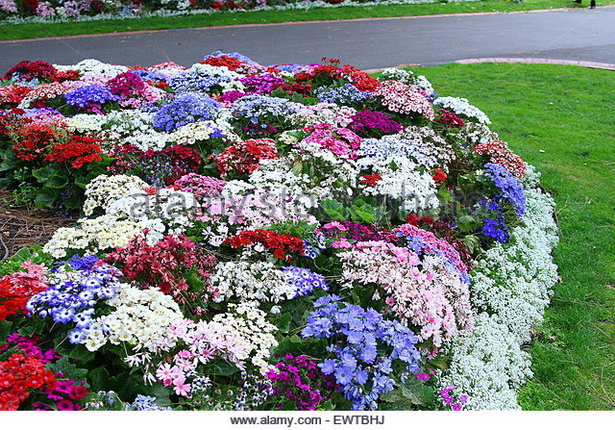 colorful-flower-beds-78_9 Цветни лехи