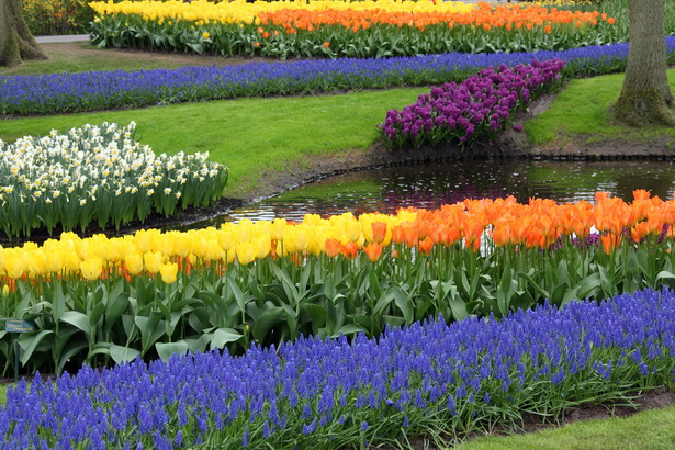 colorful-flower-gardens-47_11 Цветни градини