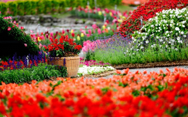colorful-flower-gardens-47_13 Цветни градини
