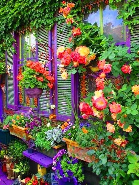 colorful-flower-gardens-47_14 Цветни градини