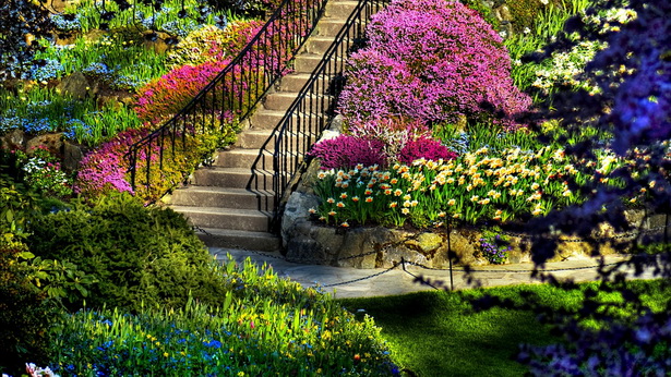 colorful-flower-gardens-47_16 Цветни градини