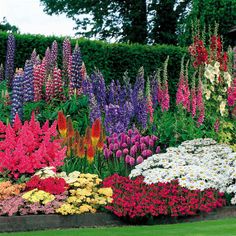 colorful-flower-gardens-47_17 Цветни градини