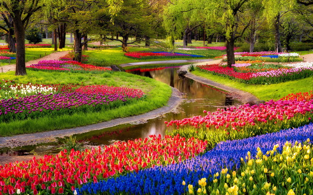colorful-flower-gardens-47_2 Цветни градини