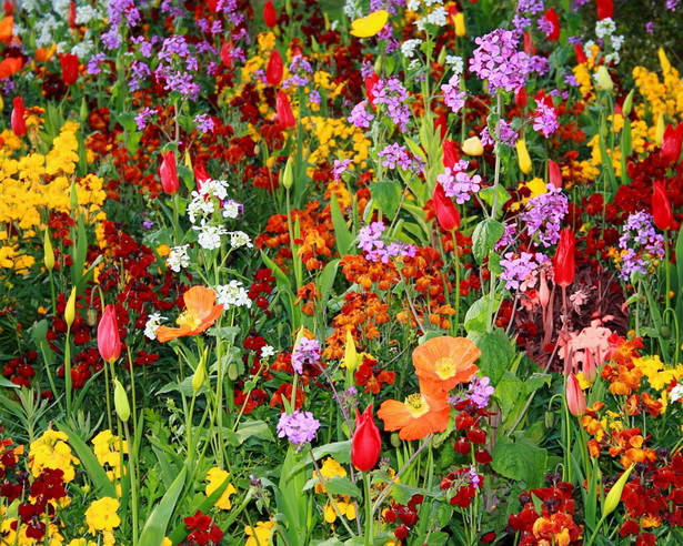 colorful-flower-gardens-47_20 Цветни градини