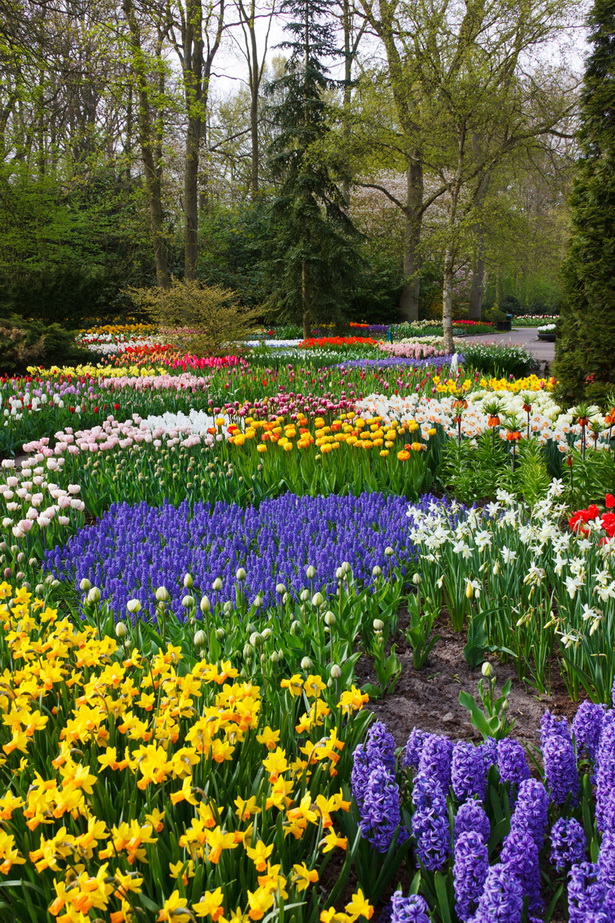 colorful-flower-gardens-47_3 Цветни градини