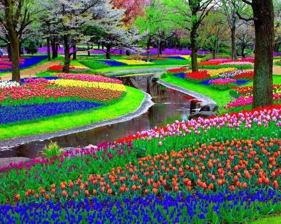 colorful-flower-gardens-47_7 Цветни градини