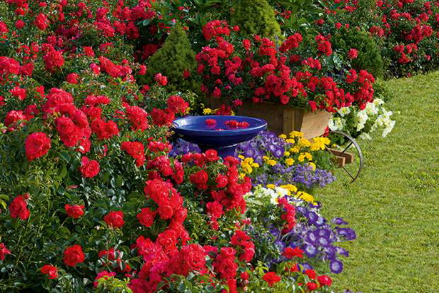 colorful-landscaping-ideas-03_15 Цветни идеи за озеленяване