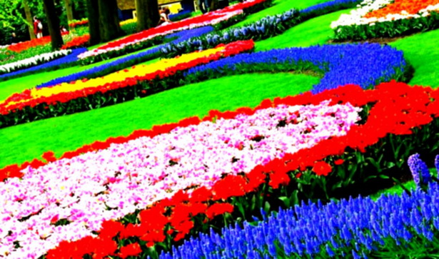 colorful-landscaping-ideas-03_8 Цветни идеи за озеленяване