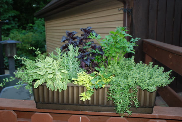 container-garden-ideas-for-patio-95 Контейнер градински идеи за вътрешен двор