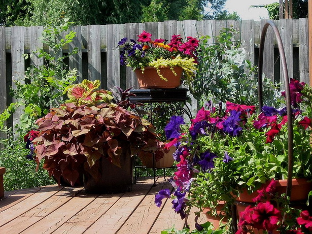 container-garden-ideas-for-patio-95_4 Контейнер градински идеи за вътрешен двор