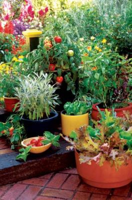 container-gardening-vegetables-34_6 Контейнер градинарство зеленчуци