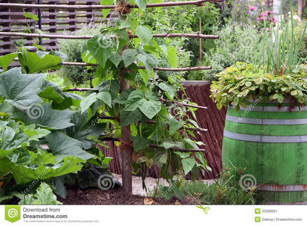 container-vegetable-garden-94_5 Контейнер зеленчукова градина