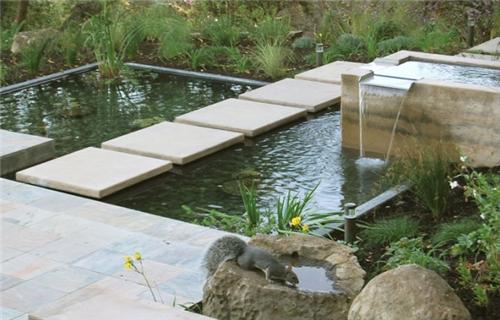 Съвременен дизайн на езерце