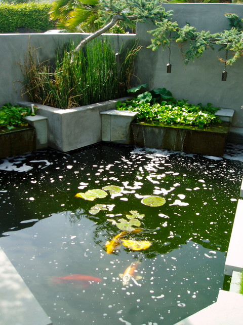 creating-a-backyard-pond-54_15 Създаване на заден двор езерце