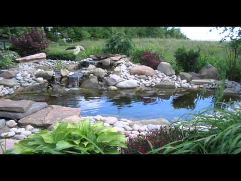 creating-a-backyard-pond-54_20 Създаване на заден двор езерце