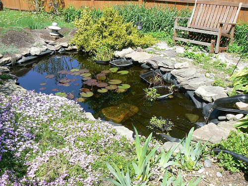 creating-a-pond-in-your-garden-21_17 Създаване на езерце във вашата градина