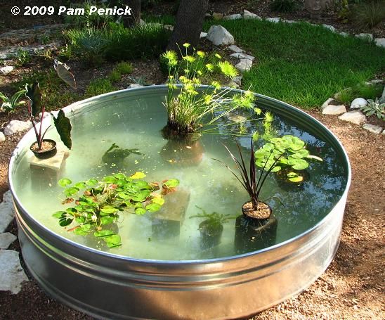 creating-a-pond-in-your-garden-21_9 Създаване на езерце във вашата градина