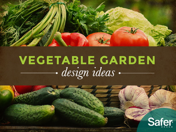 creating-a-vegetable-garden-26_8 Създаване на зеленчукова градина