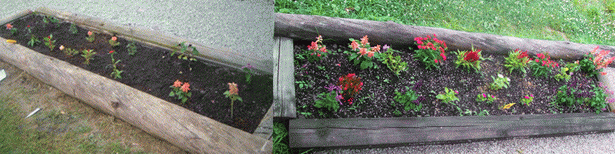 creating-flower-beds-79 Създаване на цветни лехи