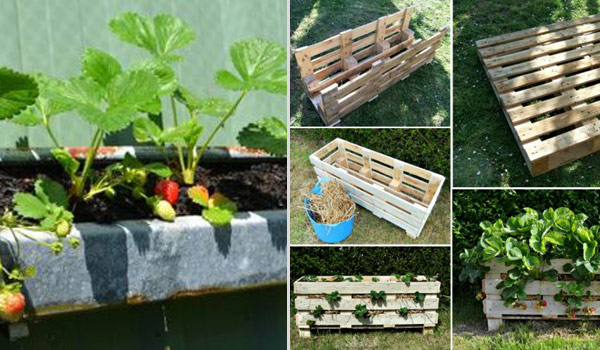 creative-small-garden-ideas-85_15 Креативни идеи за малка градина
