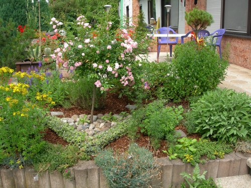 decorative-herb-garden-60 Декоративна билкова градина