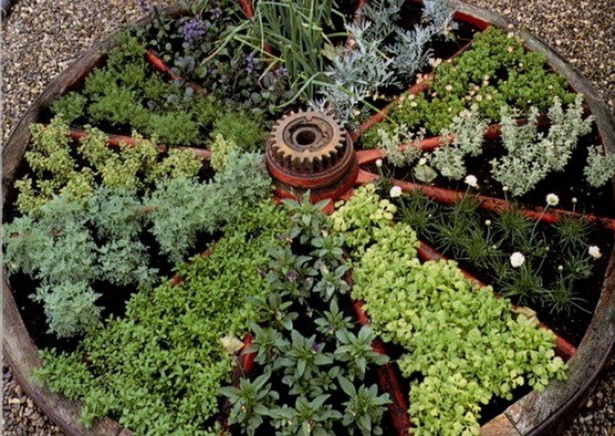 decorative-herb-garden-60_3 Декоративна билкова градина