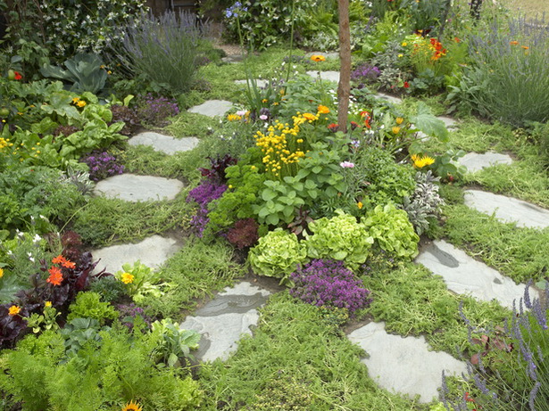 decorative-herb-garden-60_9 Декоративна билкова градина