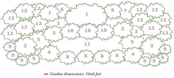 designing-a-flower-bed-with-perennials-99_10 Проектиране на цветна леха с трайни насаждения