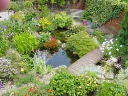 Проектиране на езерце за градината