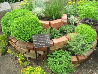 designs-for-herb-gardens-81_13 Дизайн за билкови градини