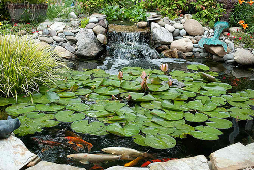 diy-pond-72_17 Направи Си Сам езерце