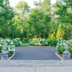 driveway-garden-design-40_2 Алея градина дизайн