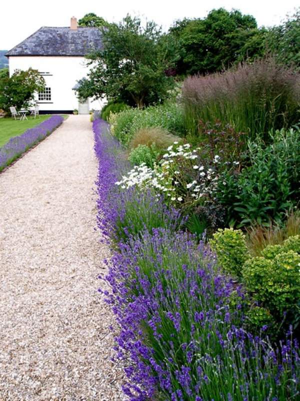 driveway-garden-design-40_8 Алея градина дизайн