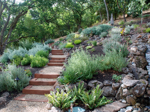 drought-tolerant-garden-design-ideas-48_13 Устойчиви на суша идеи за градински дизайн
