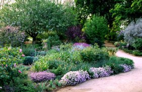 drought-tolerant-garden-design-ideas-48_14 Устойчиви на суша идеи за градински дизайн