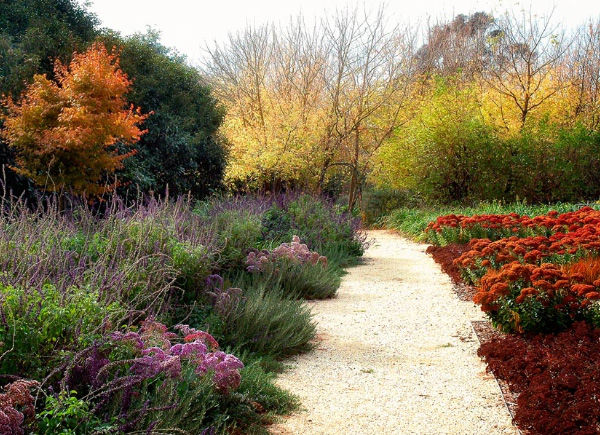 drought-tolerant-garden-design-ideas-48_17 Устойчиви на суша идеи за градински дизайн