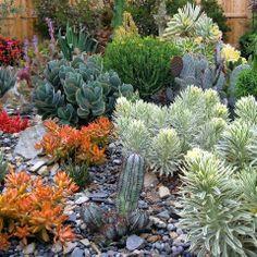 drought-tolerant-garden-design-ideas-48_3 Устойчиви на суша идеи за градински дизайн