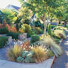 drought-tolerant-garden-design-ideas-48_6 Устойчиви на суша идеи за градински дизайн