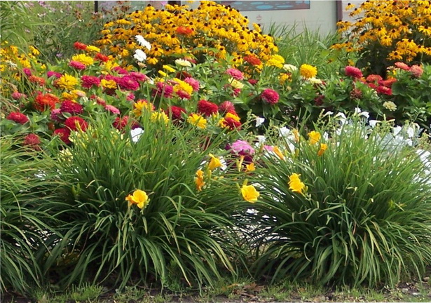 drought-tolerant-garden-design-ideas-48_8 Устойчиви на суша идеи за градински дизайн