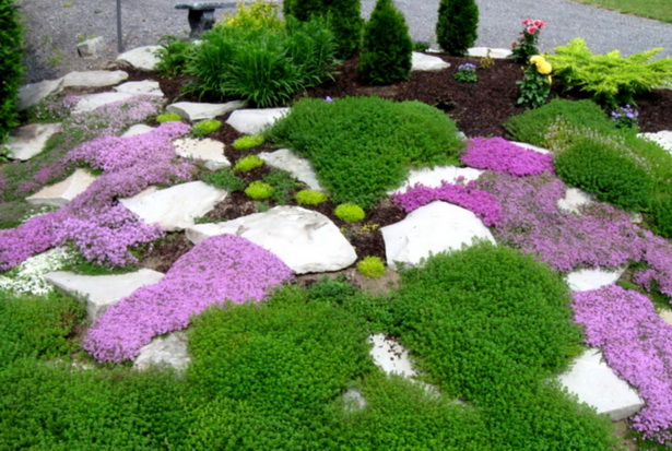 dry-garden-landscaping-ideas-72_17 Идеи за озеленяване на суха градина