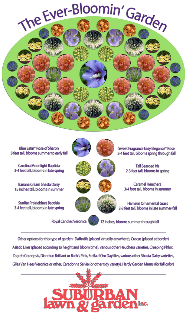 easy-flower-garden-ideas-11 Лесни идеи за цветна градина