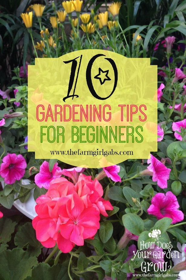 easy-flower-garden-ideas-11_10 Лесни идеи за цветна градина