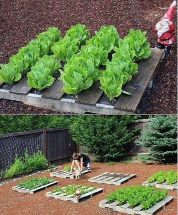 easy-garden-ideas-95_18 Лесни идеи за градината