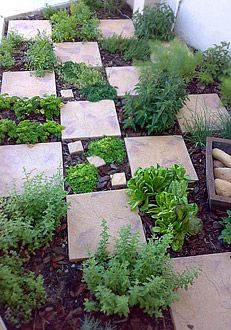 easy-herb-garden-ideas-98_19 Лесни идеи за билкова градина