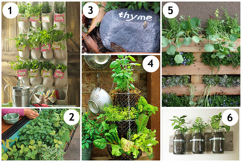 easy-herb-garden-ideas-98_5 Лесни идеи за билкова градина