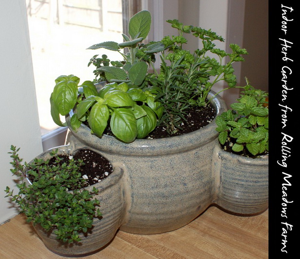 easy-herb-garden-ideas-98_9 Лесни идеи за билкова градина