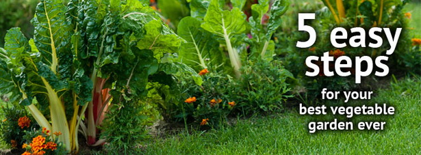 easy-vegetable-garden-16_9 Лесна зеленчукова градина
